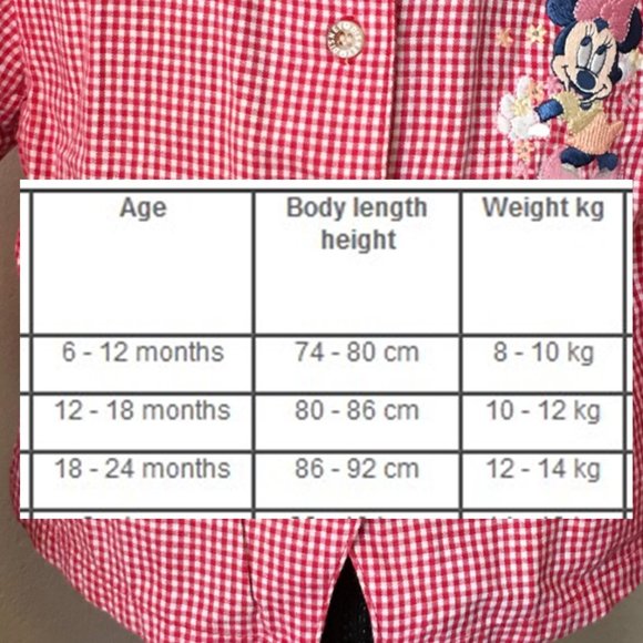 DISNEY Red Gingham "Minnie Mouse" Shirt   18-24M - Picture 11 of 12